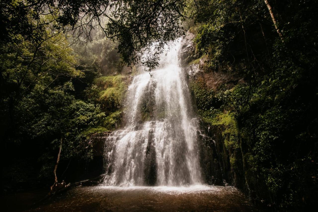 Mount Sheba Rainforest Hotel & Resort Pilgrim's Rest Ngoại thất bức ảnh