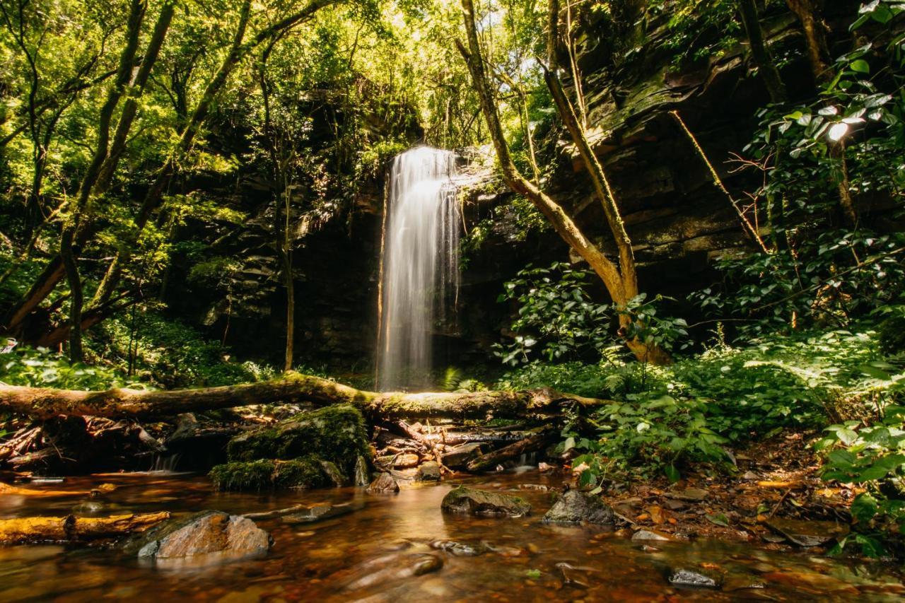 Mount Sheba Rainforest Hotel & Resort Pilgrim's Rest Ngoại thất bức ảnh